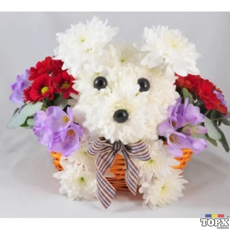 Birou de traduceri in Cluj-Napoca - 40 de limbi straine - AHR - 15