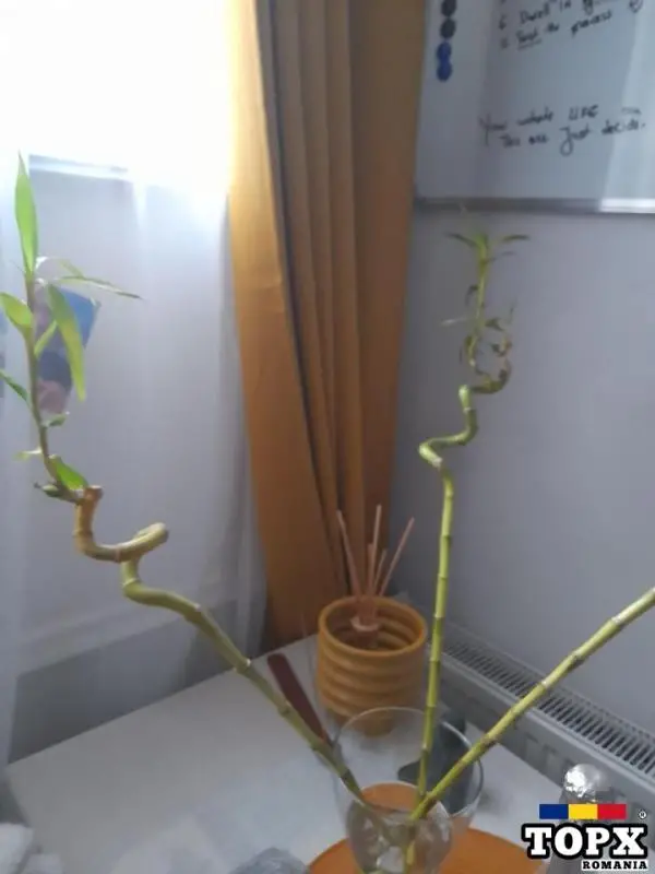 Oferta vânzări 3 camere
