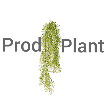 PROD PLANT